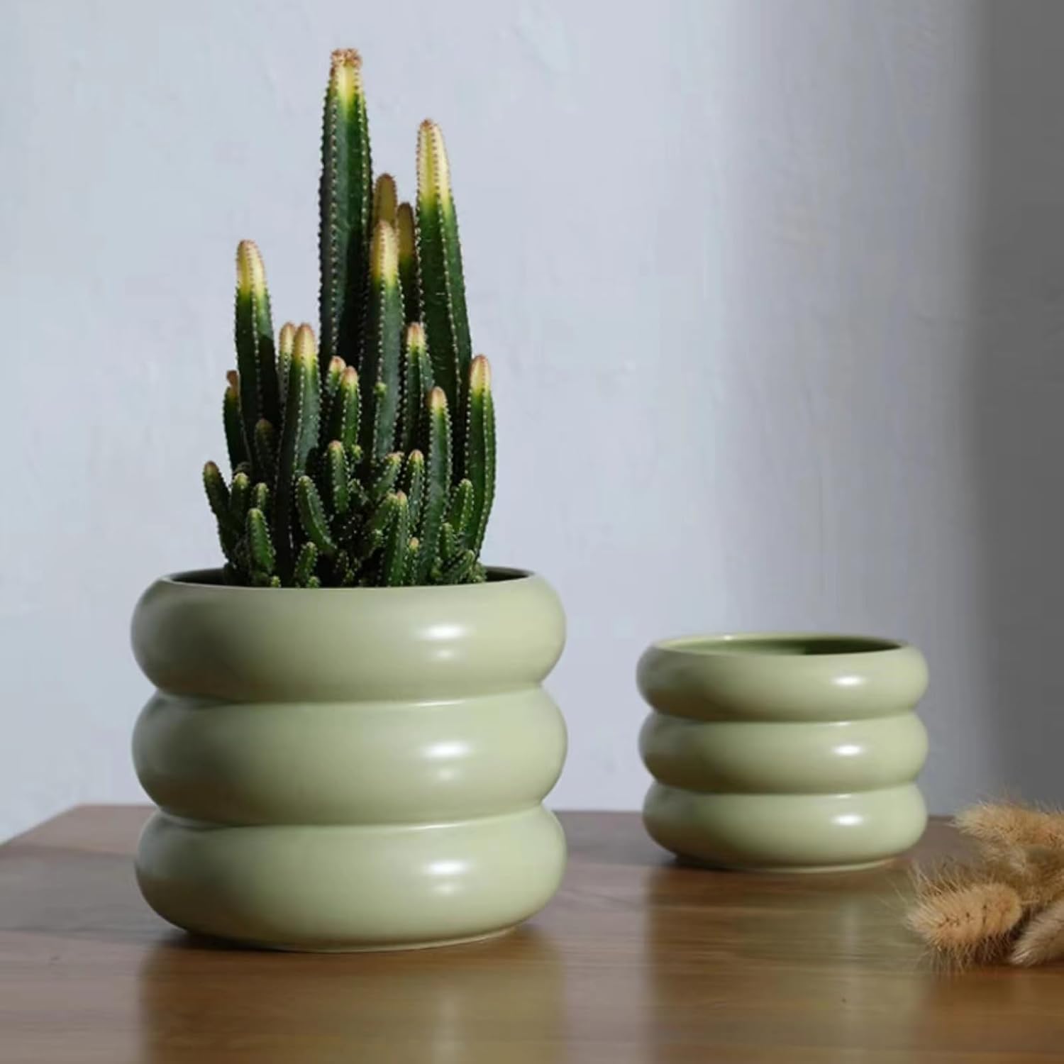 Ceramic Plant Pot Indoor / Green / 6.5inch