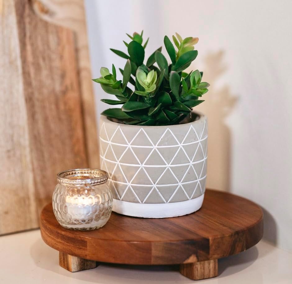 Small Faux Plant for Desk