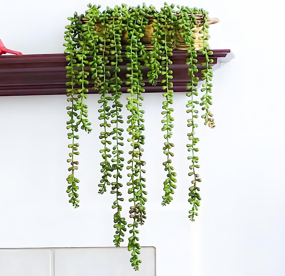 6pcsString of Pearls Plant Artificial Faux Hanging Succulents Hanging Greenery / Green / Set of 6