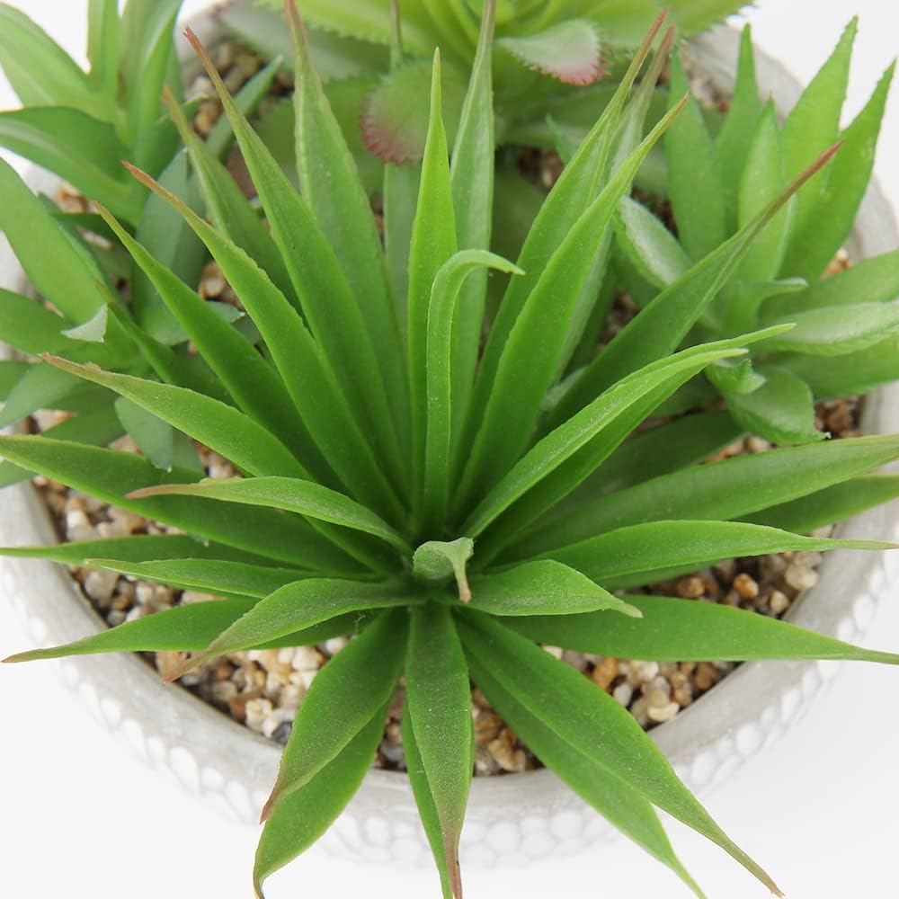 Small Fake Plants Assorted Faux Succulents in Pots Realistic Succulents Plants / Succulent #01
