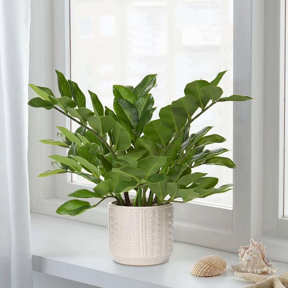 Faux Plants Indoor 17" Artificial ZZ Plants in Ceramic Pot Fake / Faux Plants with Ceramic Pot