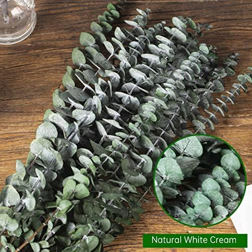 17'' Natural Fresh Eucalyptus Leaves Branches Hanging for Shower / Green / Set of 16