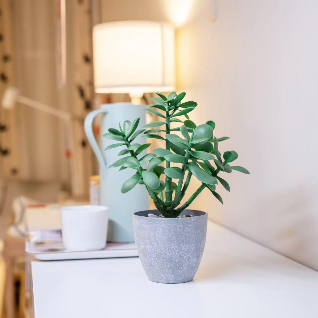 365 Blooming Decor 12" Artificial Jade Plant in Minimalist Gray Pot / Green