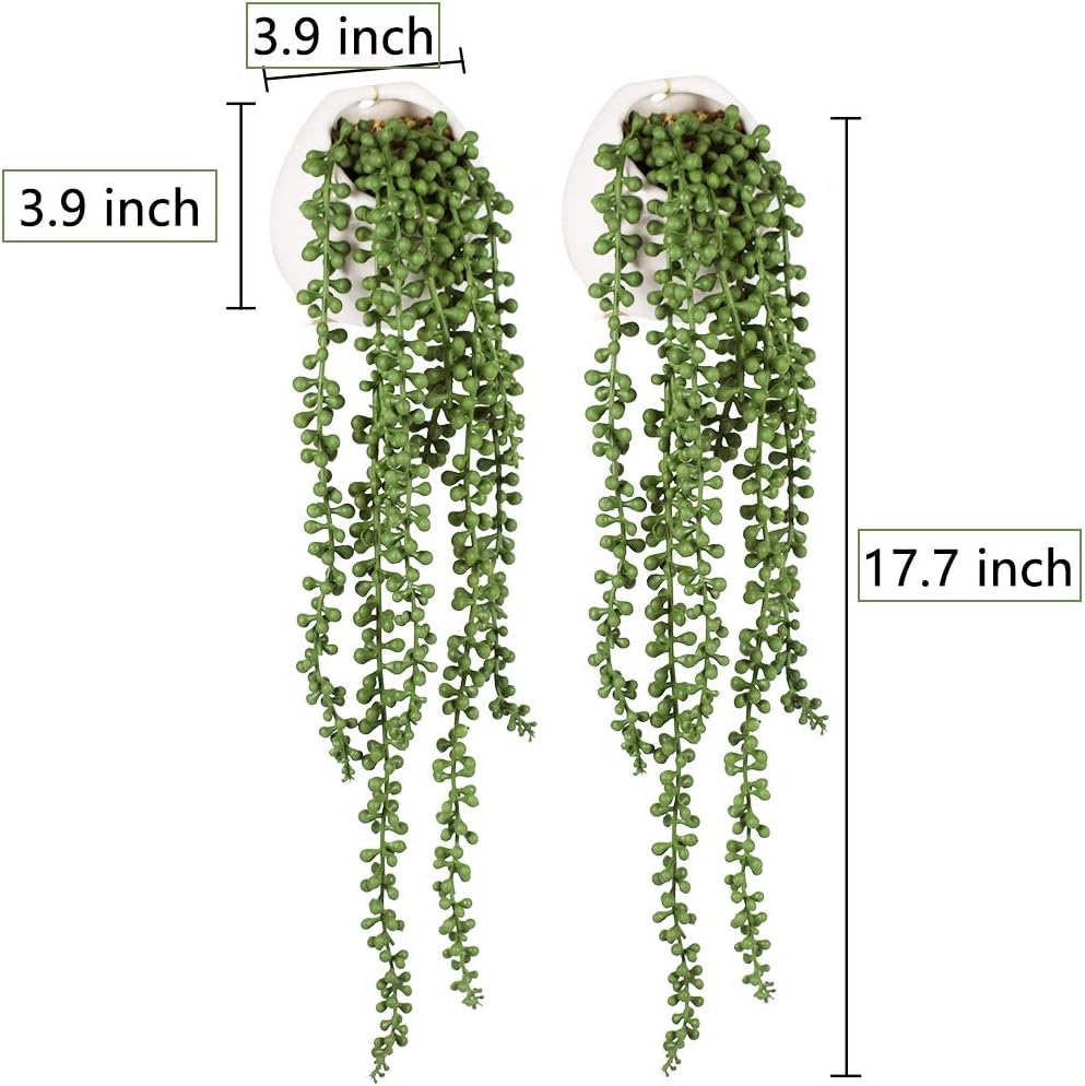Faux String of Pearls Plants / Fake Succulents In White Pots / Set of 2