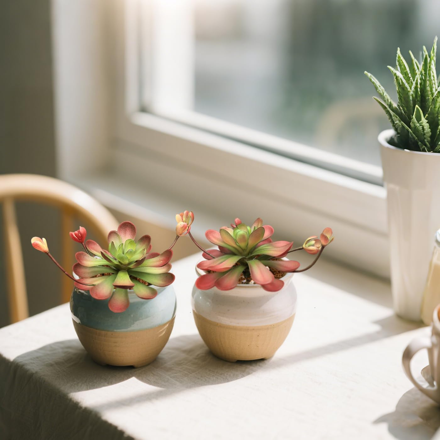 Artificial Succulent Plants / Red-a / Set of 2