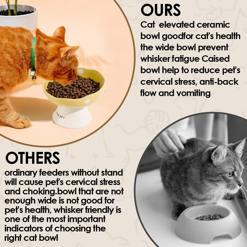Elevated Ceramic Bowl for Cats / Purple