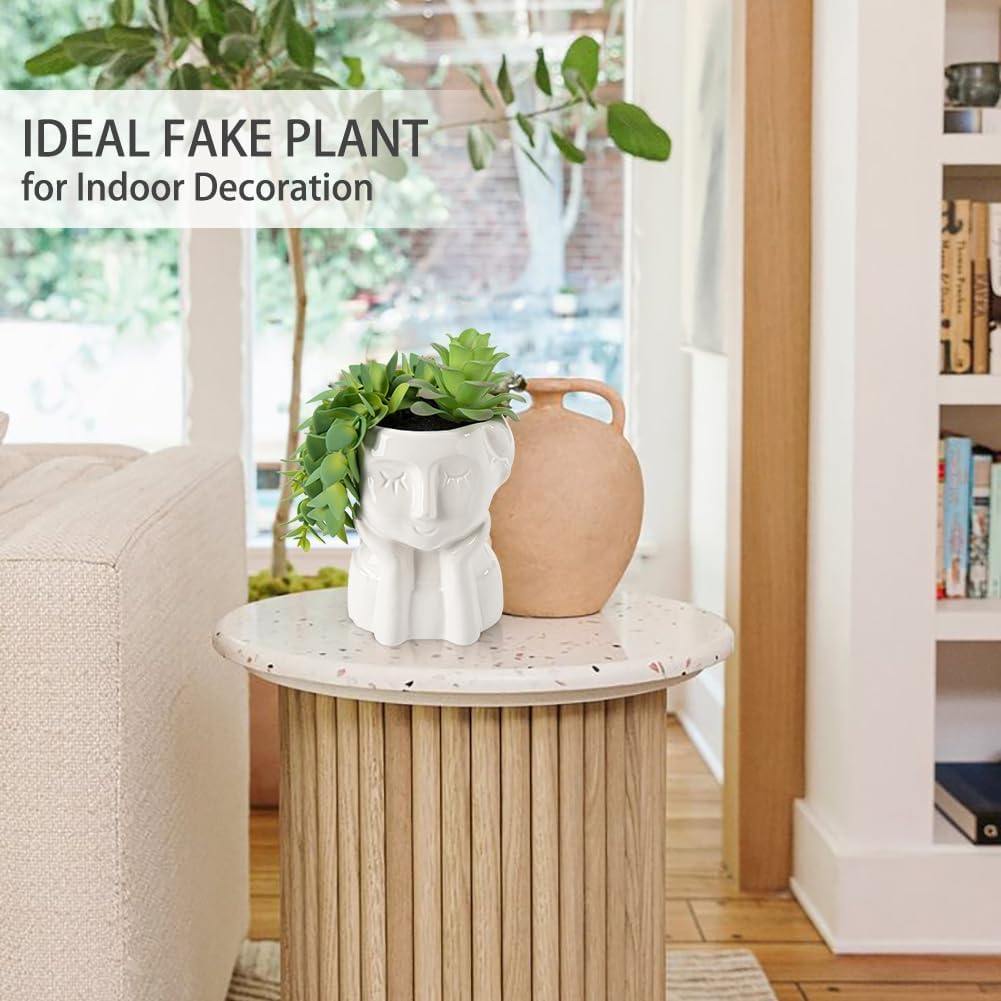 Fake Succulents Plants Artificial Succulents in Ceramic Pots Fake Potted Plants Faux Plants / Green