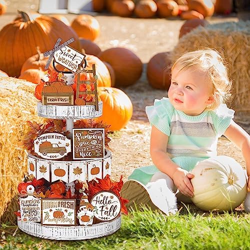 Thyle 15 Pcs Fall Tiered Tray Decor, Rustic Fall Table Decor