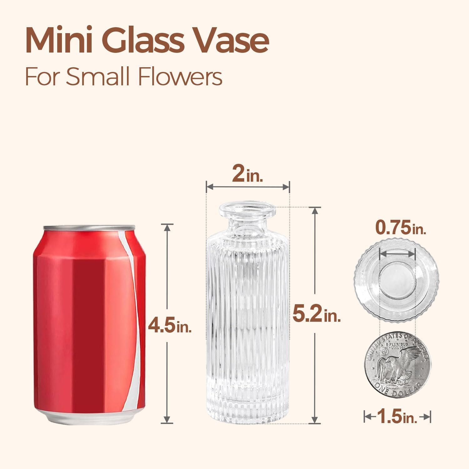 Small Vases for Flowers Mini Glass Bud Vases in Bulk / Clear / 5.2 Inch / Set of 6