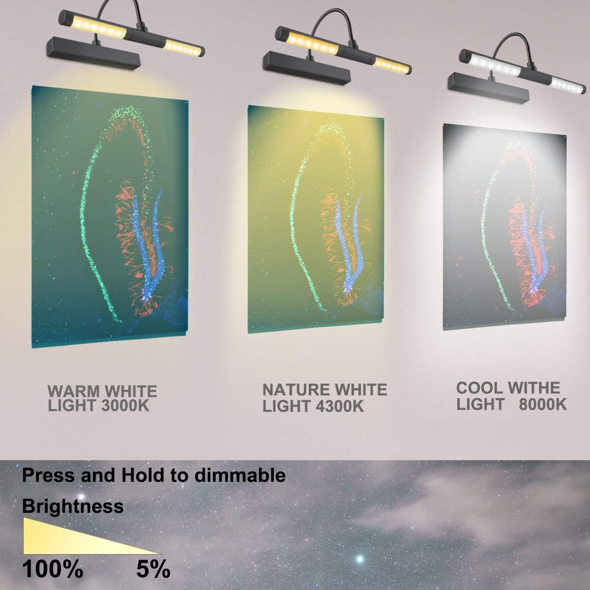 LUXSWAY Wireless Picture Light Battery Operated, Remote Control Painting Light with Rotatable Head, Dimmable and Timer