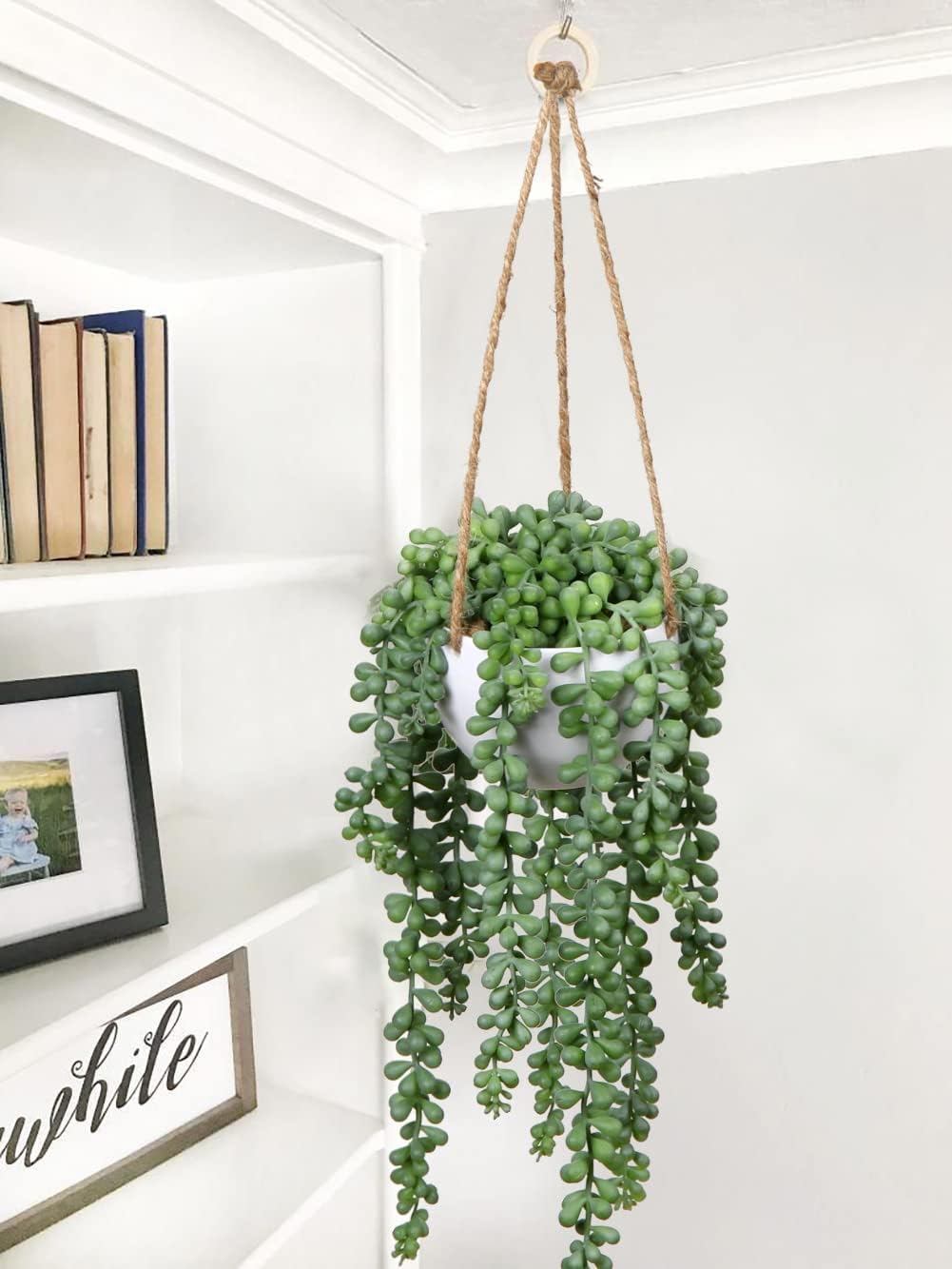 plants Fake Hanging / String of Pearl