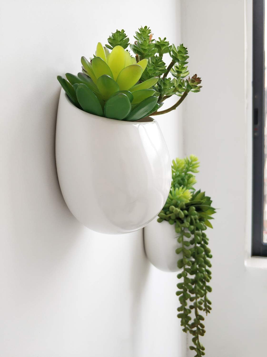 Artificial Plants / Wall Planter