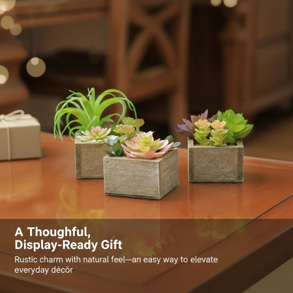 Mini Potted Greenery in Rustic Wood Planters / Organic / Set of 3