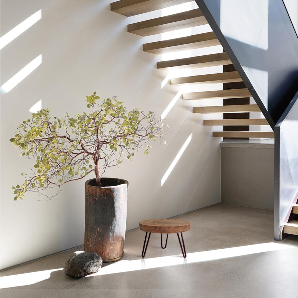 OBTAIN Plant Stand Indoor Outdoor Wood Mid Century Plant Stand for Indoor Plants, Modern Plant Table Round Plant Stool