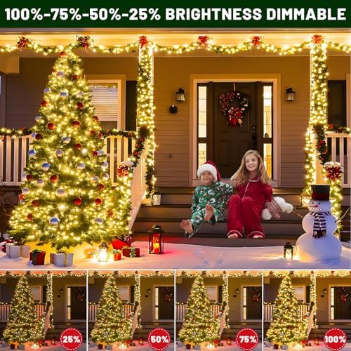 100FT 300 LED Color Changing Christmas Lights, Warm White & Multicolor