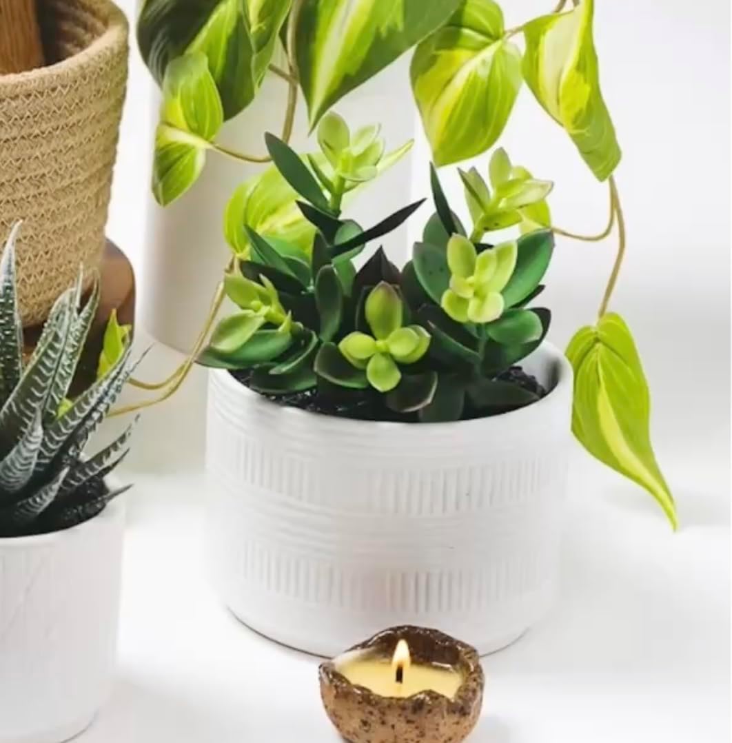Artificial Plant in Matte Ceramic Pot / White