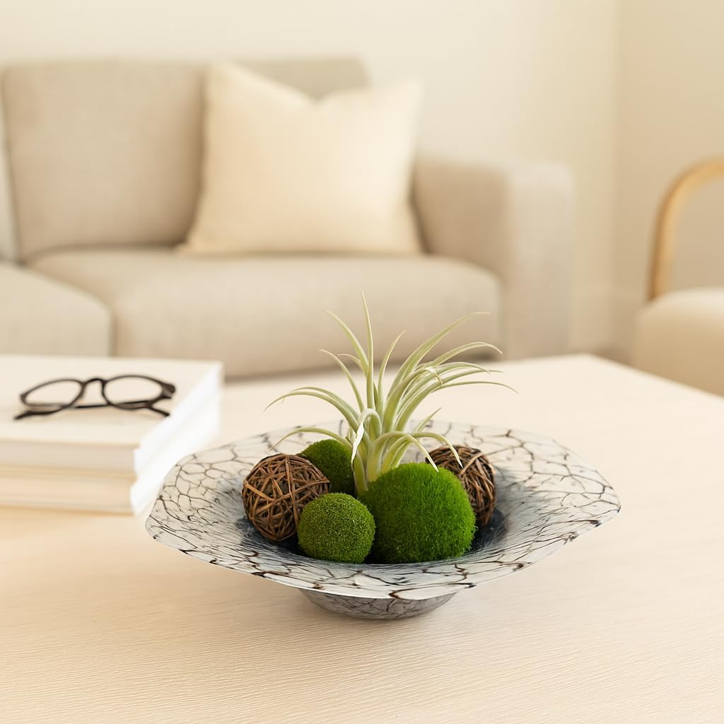 Modern Abstract Glass Decorative Bowl