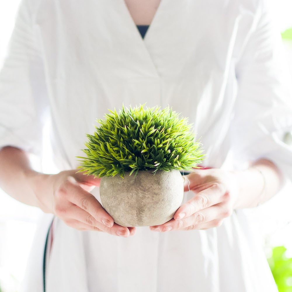 Artificial Plastic Mini Plants Unique Fake Fresh Green Grass Flower / White & Green / Set of 3