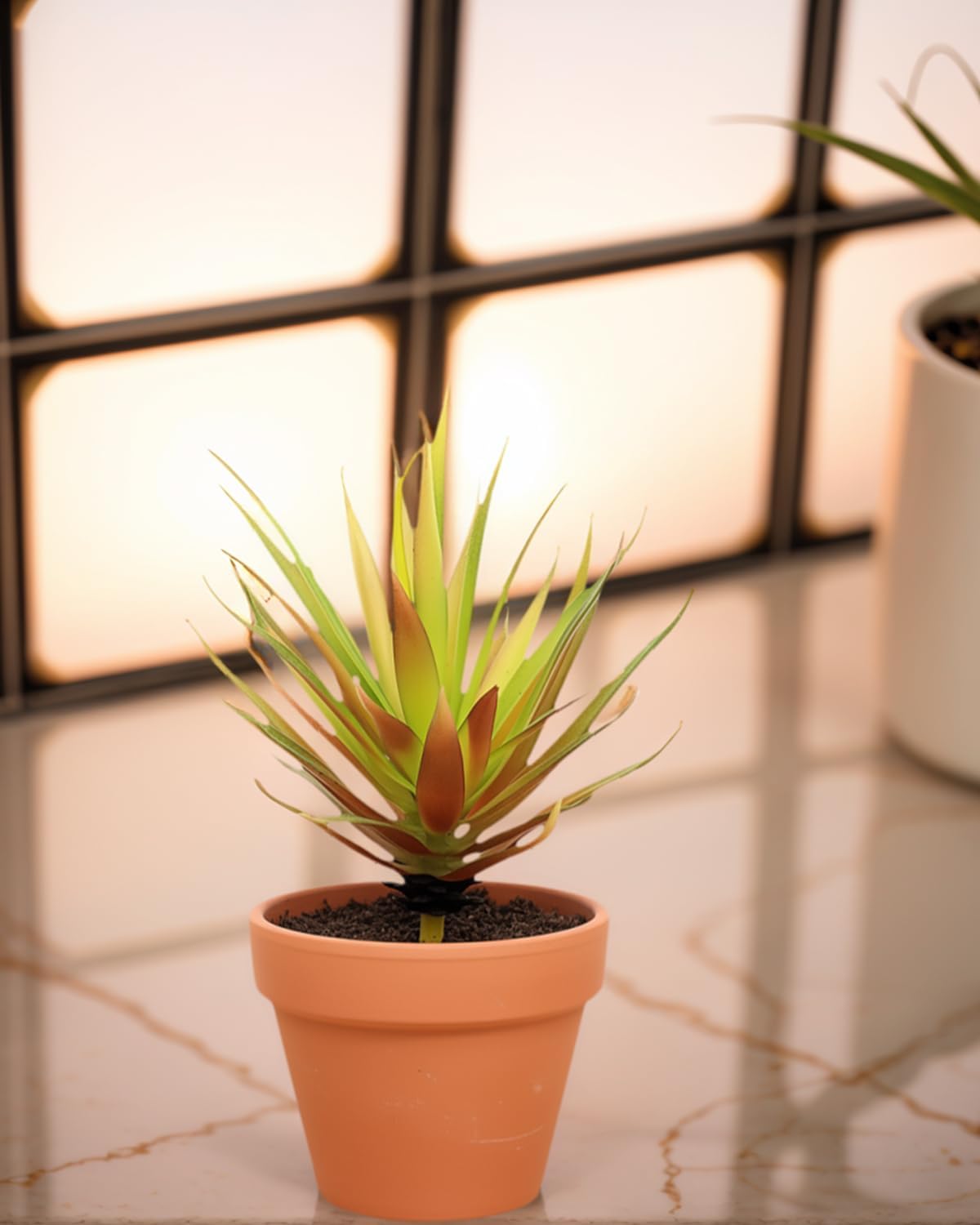 Realistic Artificial Faux Succulent Yucca Vera Greenhouse Small Plants / Autumn Green / Set of 2