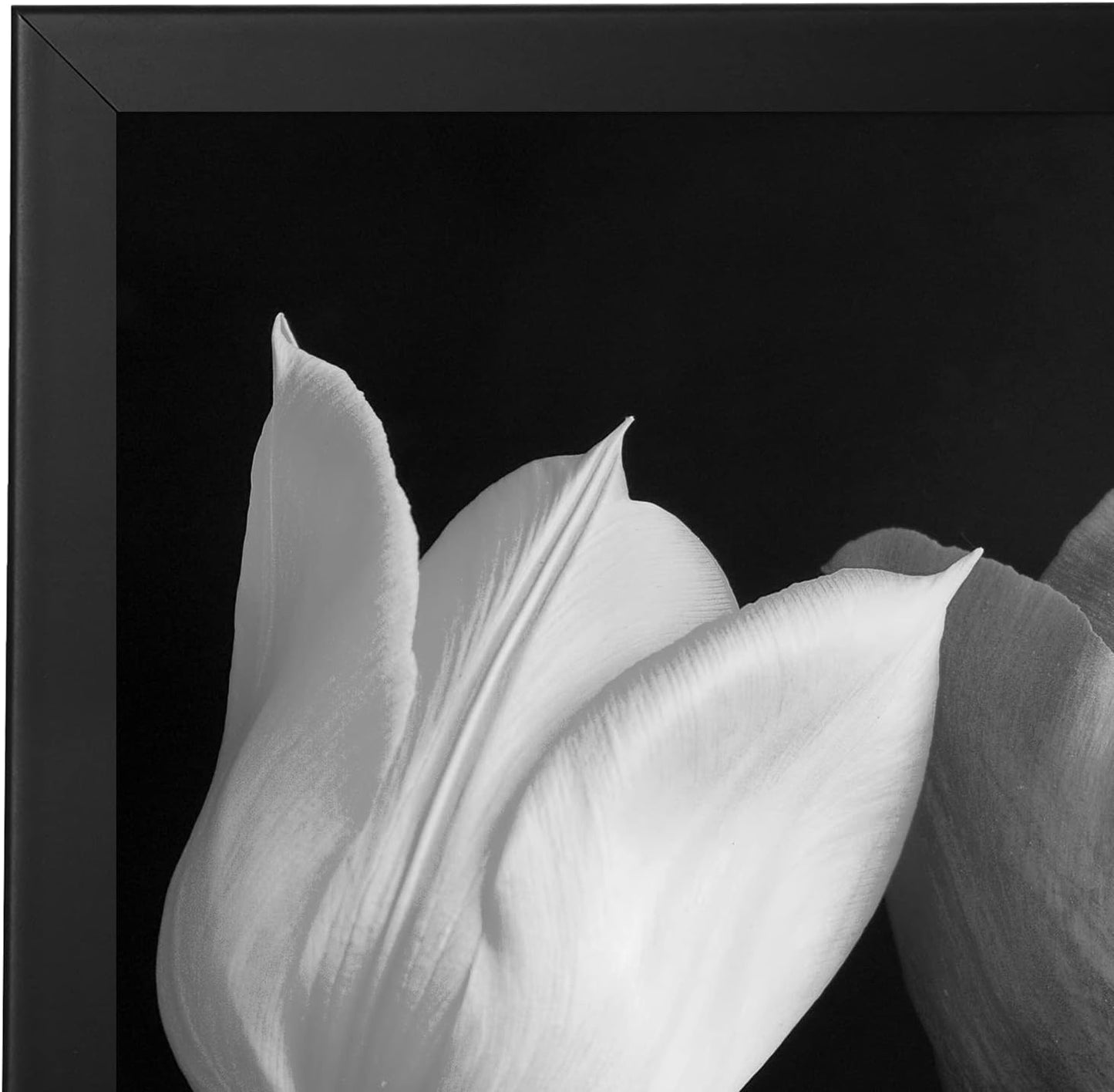 Americanflat 18x18 Poster Frame - Engineered Wood - Black | Polished plexiglass front, hangs vertical or horizontal
