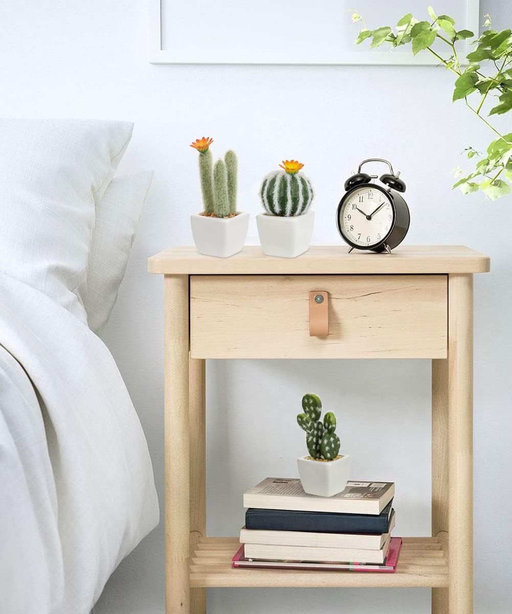 Mini Artificial Cactus Plants in Ceramic Pots Potted Faux Succulents in Pots Fake / White / Set of 6