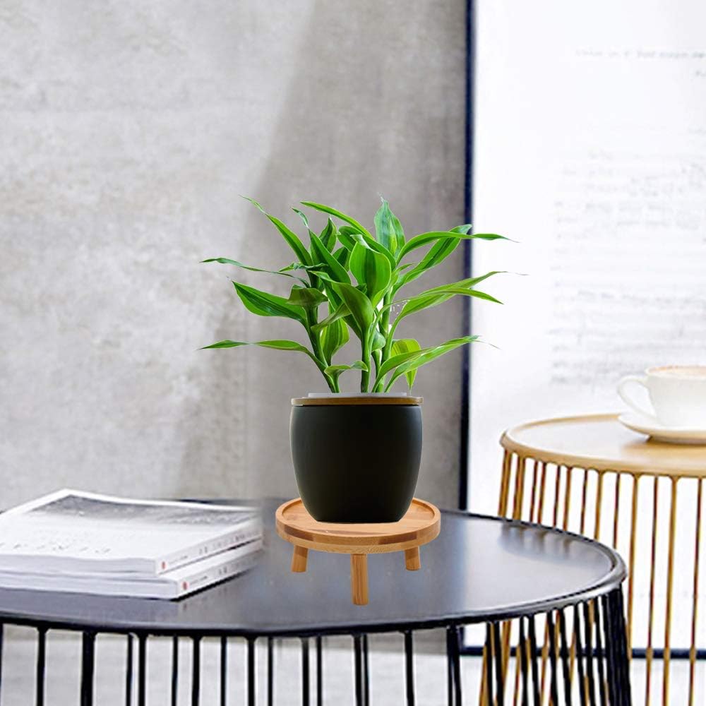 Mid Century Modern Plant Stand / Natural / Set of 2
