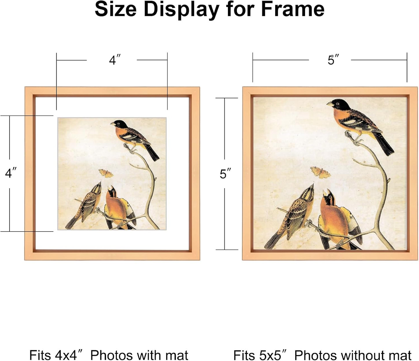 BKABOT 5x5 Gold Metal Photo frames 3 Pack HD Glass Mat 4x4 Wall Table | Brushed aluminum Picture frames,removable