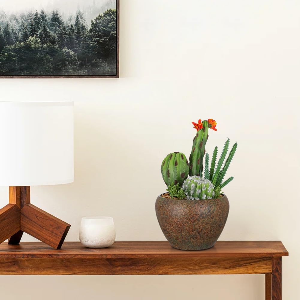 Assorted Artificial Cactus Plants Indoor