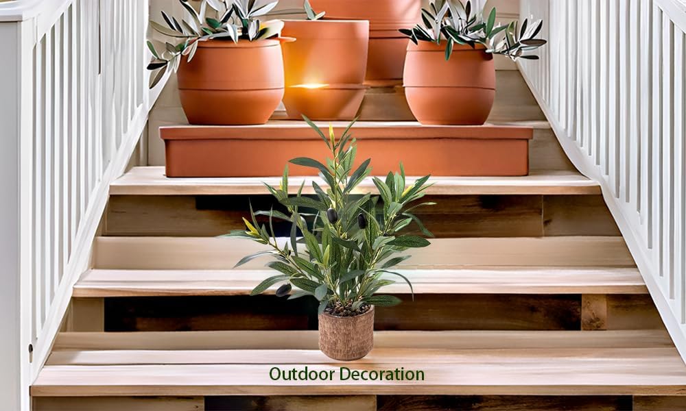 Indoor Fake Olive Plant Faux Silk Leaves / Plant A / Black / 12 Inch