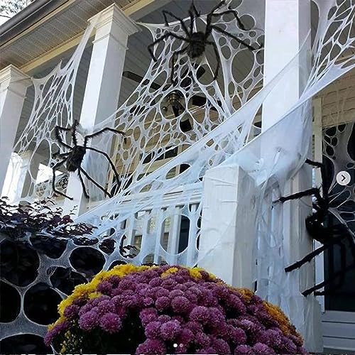 Beef Netting Spider Web, Halloween Outdoor Decoration (600 Sqft)