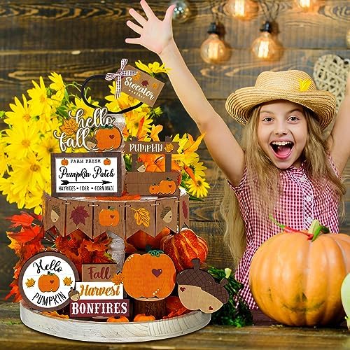 BBTO 15 Set Fall Tiered Tray Decor Rustic Farmhouse 3D Layered Wooden Signs