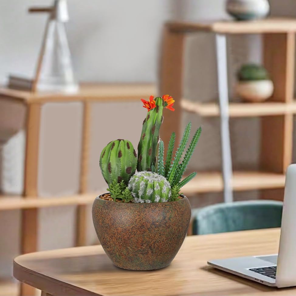 Assorted Artificial Cactus Plants Indoor