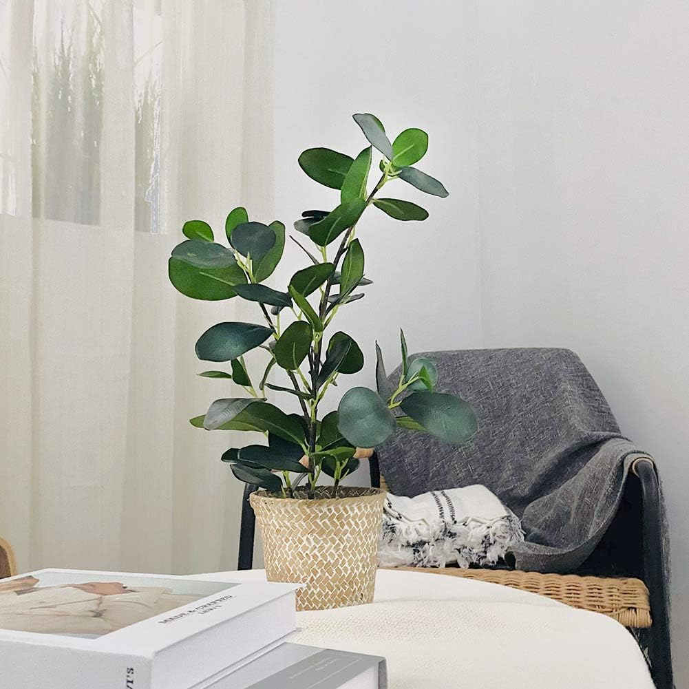 Artificial Ficus Tree Small Fake Plants in Weaved Pot 20" Height / Green