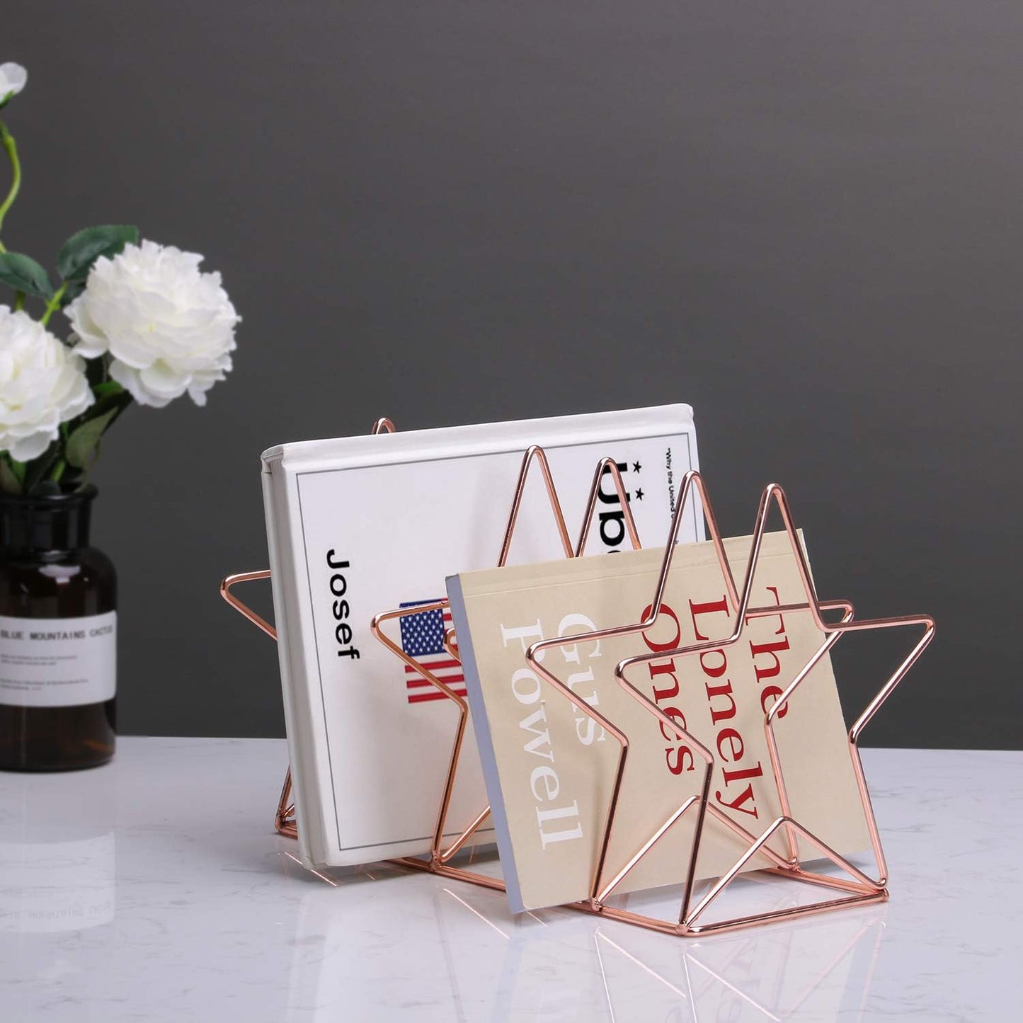 Magazine Holder File Sorter, Metal 5 Slot Desk Organizer Rack for Document, Folder, Letter and Book, Rose Gold