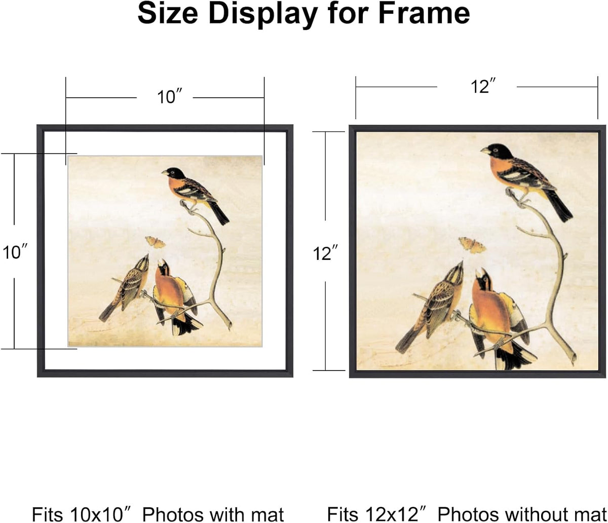 BKABOT 12x12 Black Picture Frame Fits 10x10 with Mat HD Glass 3 Pack | Thin brushed aluminum Photo frames, removable