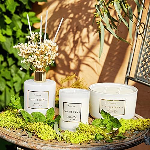Cocorrína Premium Reed Diffuser Set with Preserved Baby's Breath & Cotton Stick Coconut Lime | 6.7oz Scent Fragrance