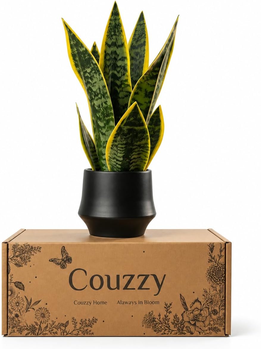 Realistic Artificial Snake Plant 15" in Ceramic Pot