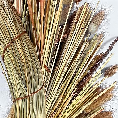 Galt International 21" Preserved Golden Natural Dried Lush Wheat Autumn Fall Wreath - Straw Wreath for Front Door Farmhouse Harvest Thanksgiving Decorations Home Decor Pampas
