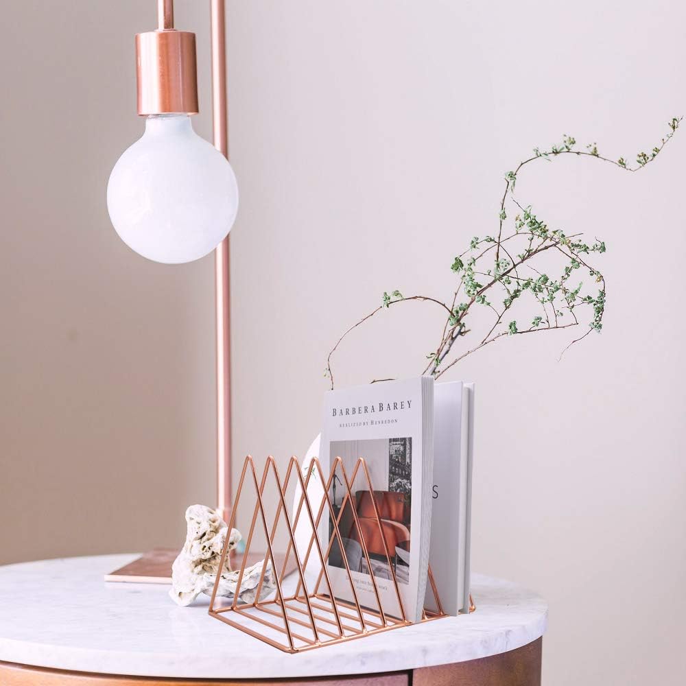 9 Slot Magazine Rack Book Record Holder, Desktop Iron Storage Rack Bookshelf Multifunction Triangle File Organizer