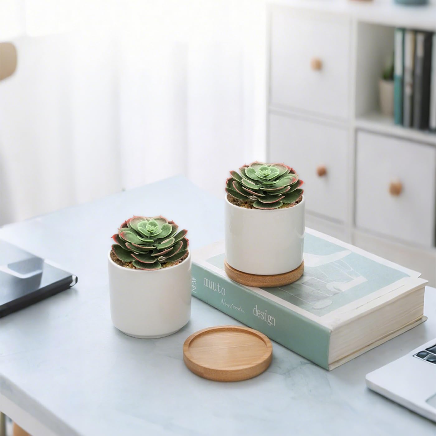 Artificial Succulent Plants / Autumn / Set of 2
