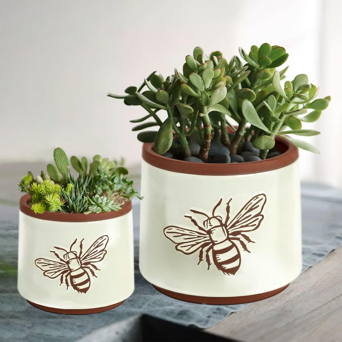 YBX Terracotta Pots / 6+4 Inch / White Bee