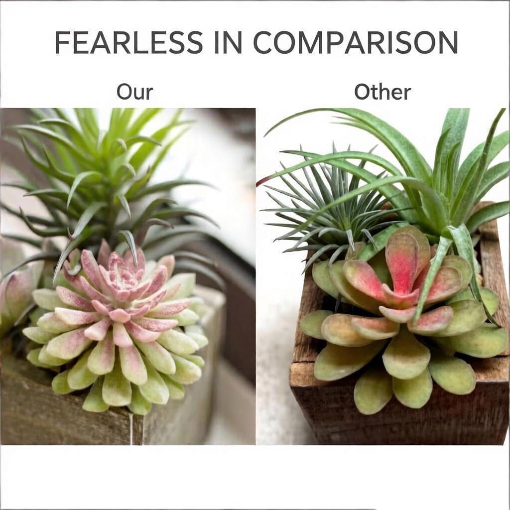 Succulent Plants Artificial / Symphony / Set of 3
