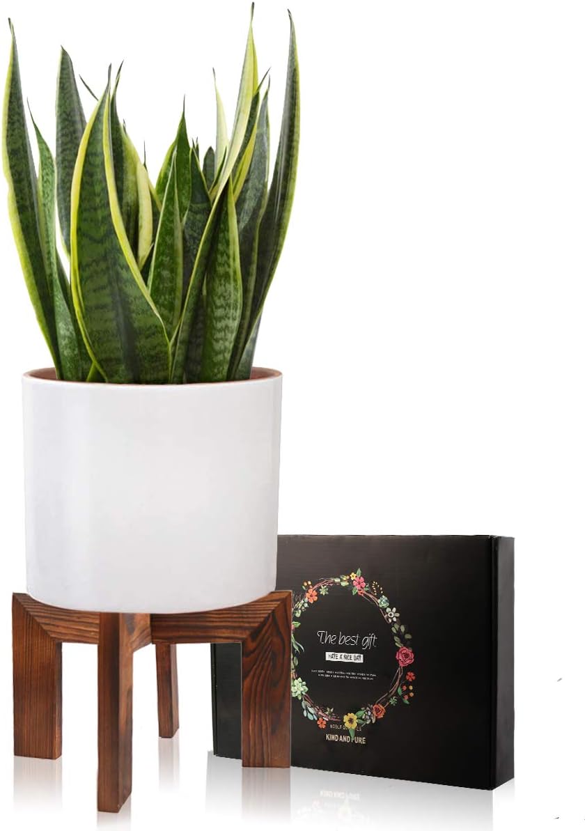Wood Plant Stand / 1 Wood Grain