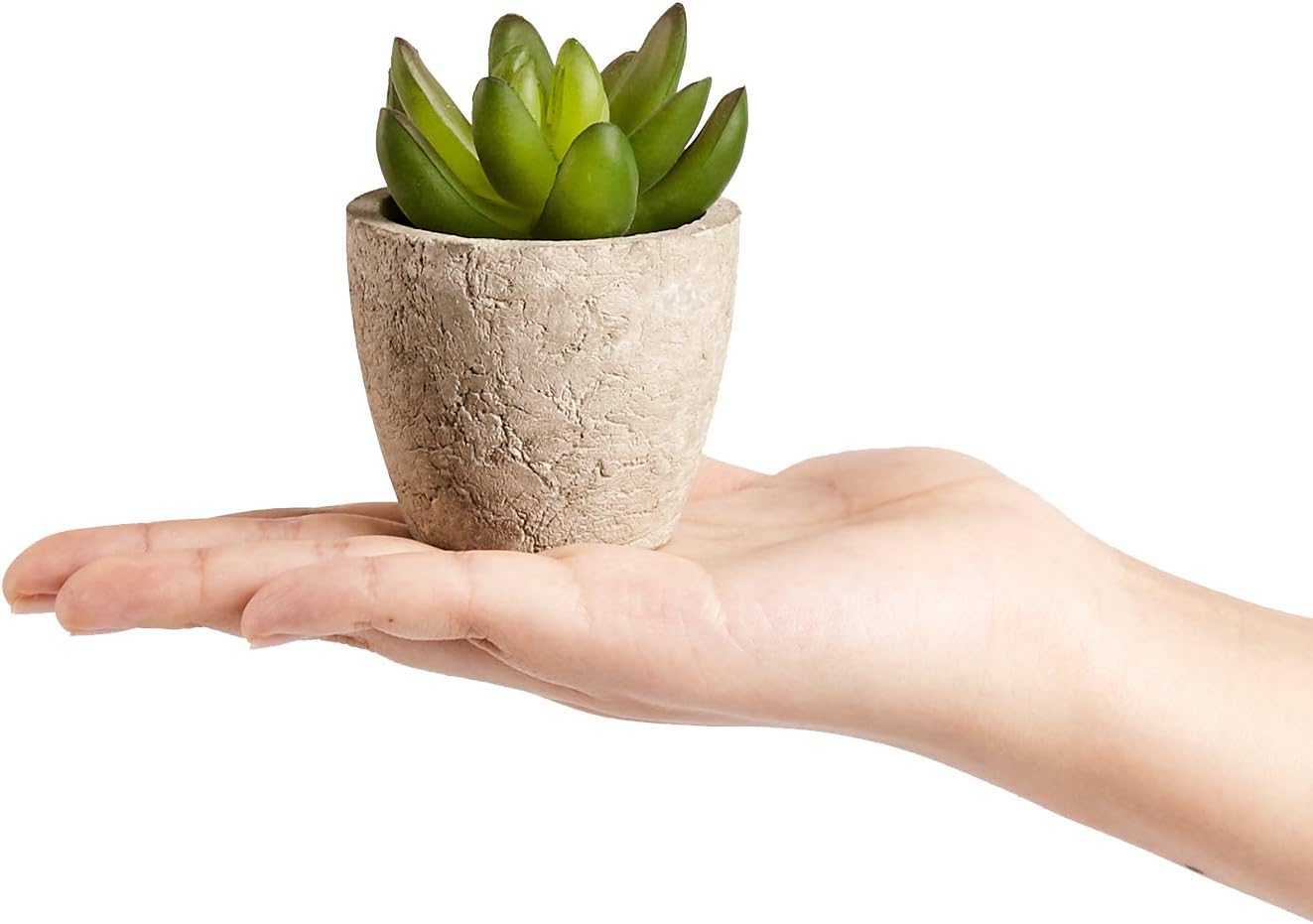 Artificial Succulents Plants Potted Set-Decorative Fake Succulent Plant Faux Plastic Plant / A6sets