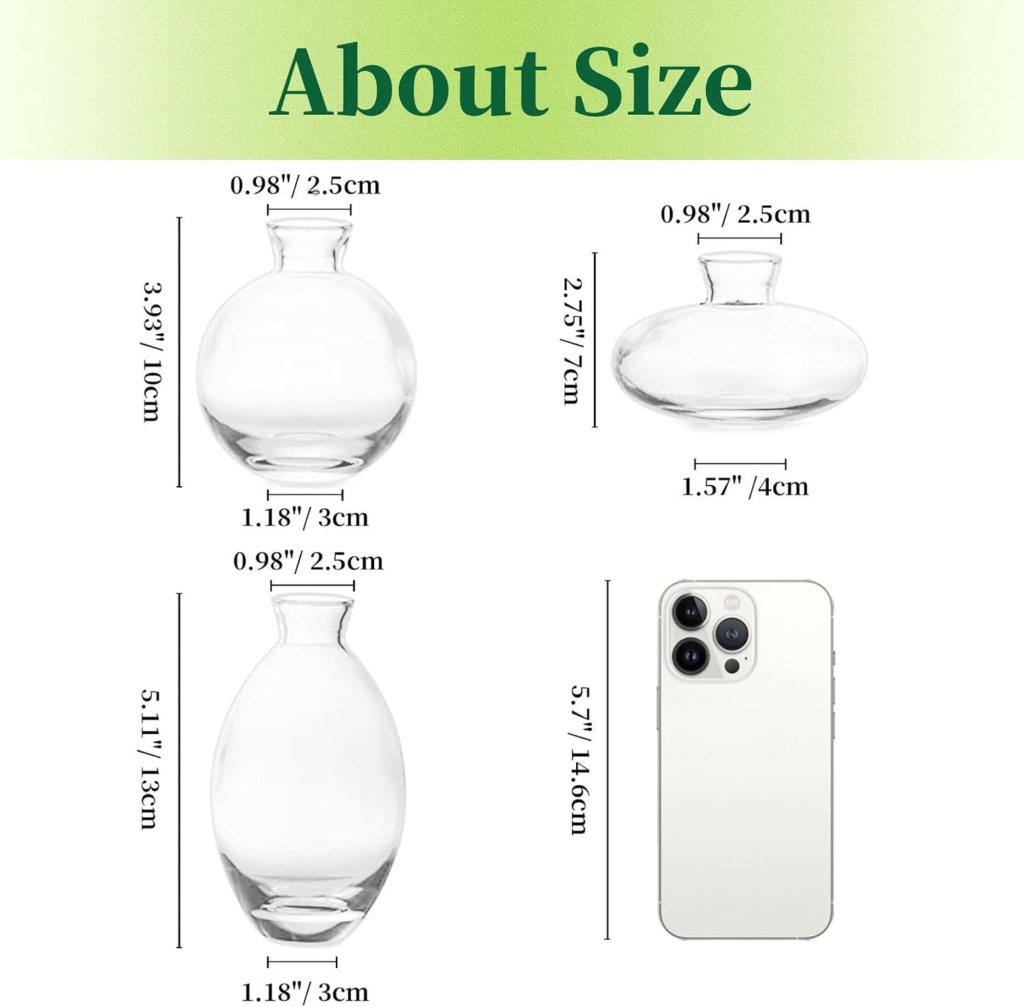 Glass Bud Vases / 4sets / Clear / Set of 12