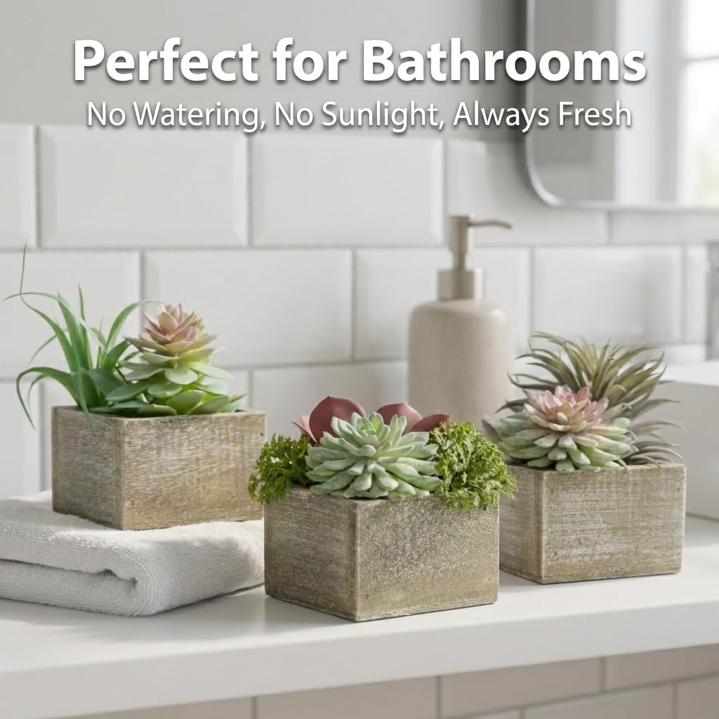Succulent Plants Artificial / Symphony / Set of 3