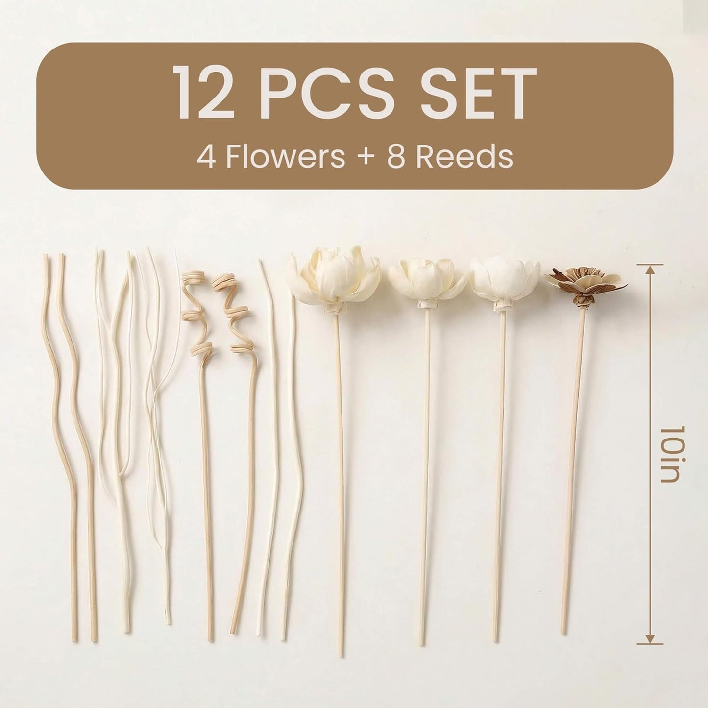 Flower Diffusers / Reed Diffuser Sticks / Natural / Set of 12