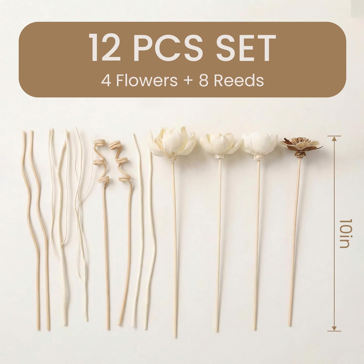 Flower Diffusers / Reed Diffuser Sticks / Natural / Set of 12