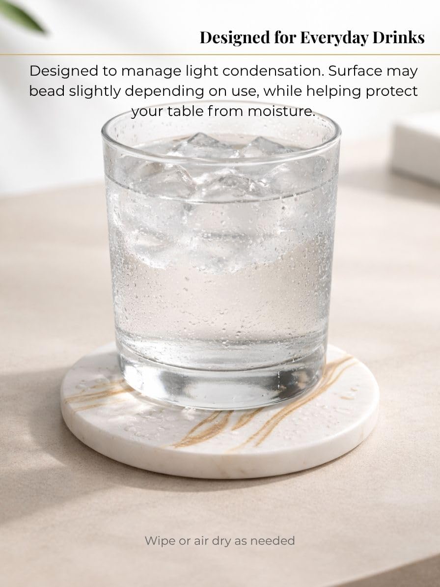 Holder / Absorbent Stone Coasters / Set of 6