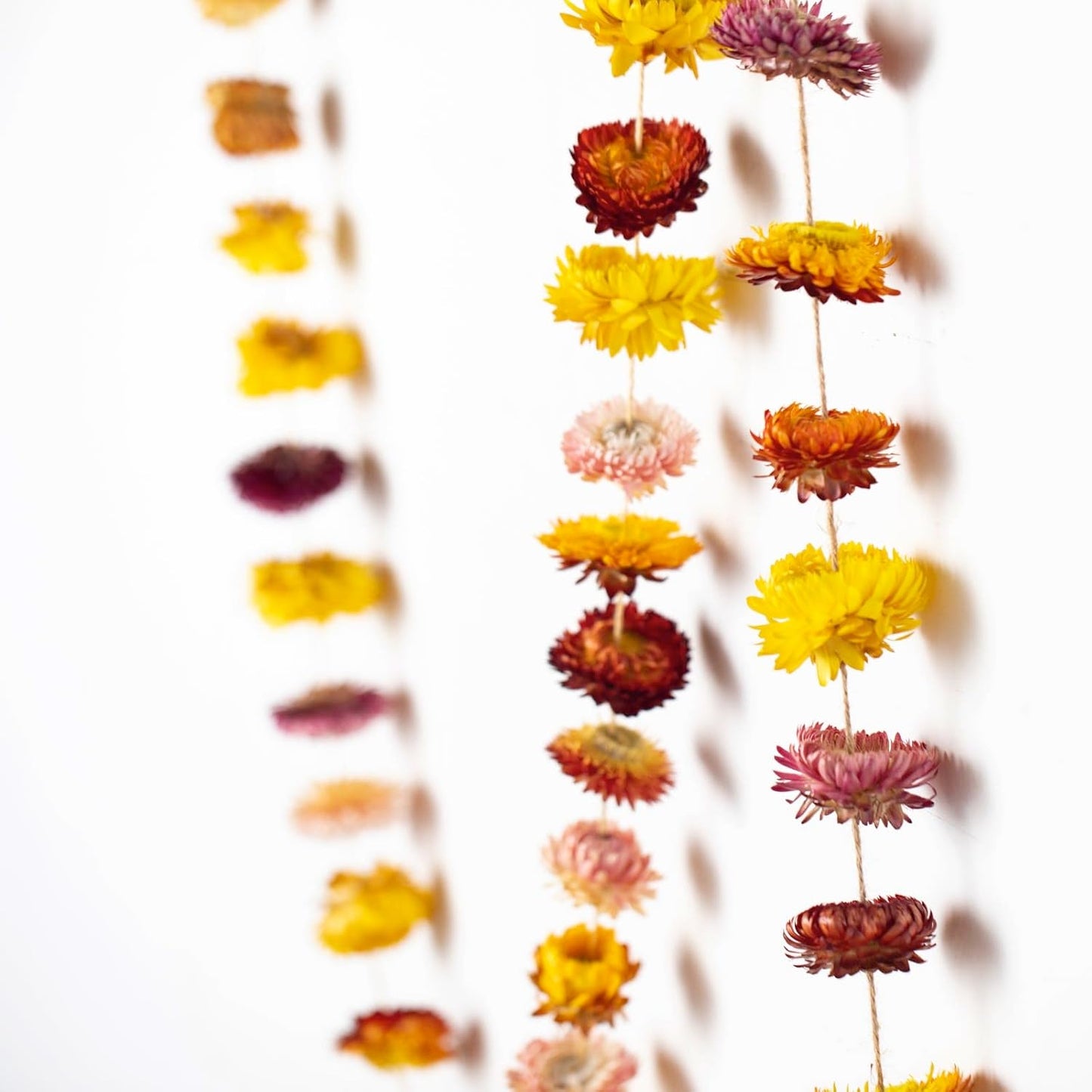 Dried Flowers Garland Real Daisy Sunflower Garlands Dry Flower Chain / 6.6 Inch